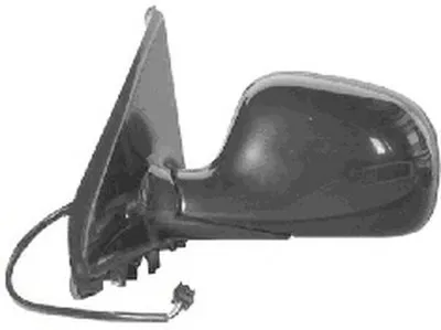 Наружное зеркало VAN WEZEL купить