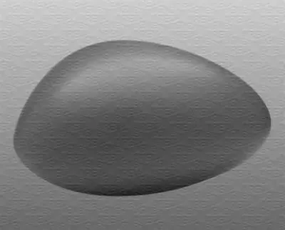 Покрытие, внешнее зеркало MAGNETI MARELLI купить