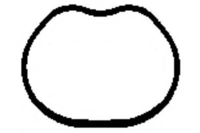 Прокладка, впускной коллектор PAYEN купить