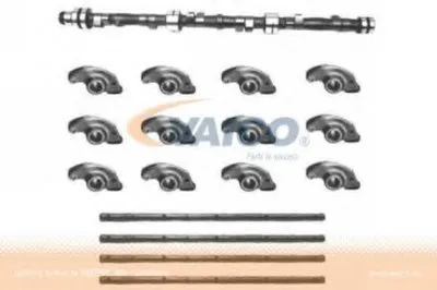 Комплект распредвала premium quality MADE IN GERMANY VAICO купить