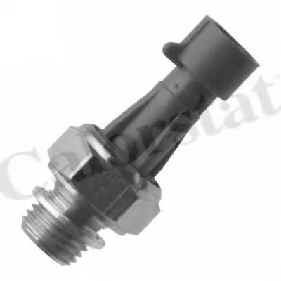 Выключатель с гидропроводом CALORSTAT by Vernet купить