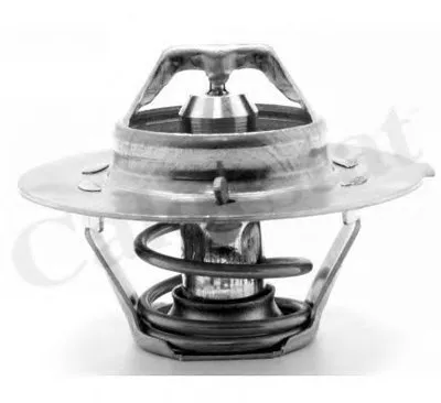 Термостат, охлаждающая жидкость CALORSTAT by Vernet купить