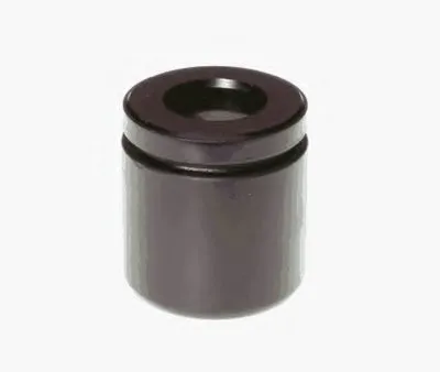 Поршень, корпус скобы тормоза KAWE купить