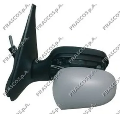 Наружное зеркало PRASCO купить