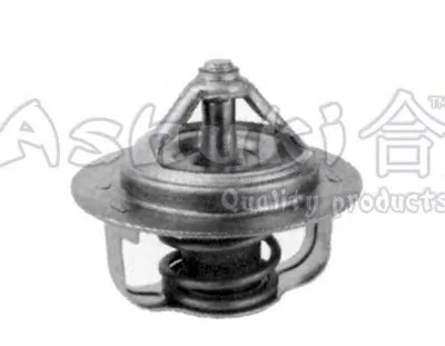 Термостат, охлаждающая жидкость ASHUKI купить