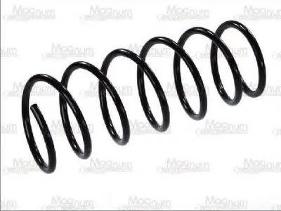 винтовая пружина Magnum Technology купить