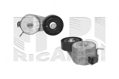 Натяжитель ремня, клиновой зубча AUTOTEAM купить