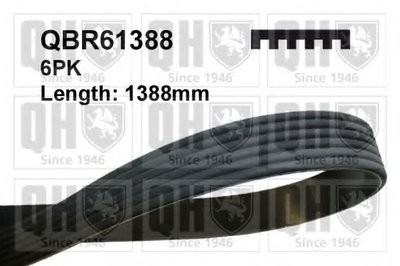 QUINTON HAZELLQBR61388 V-Ribbed Belts