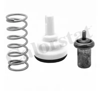 Термостат, охлаждающая жидкость CALORSTAT by Vernet купить