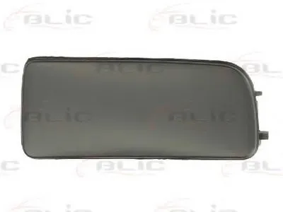 Покрытие, фара BLIC купить