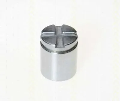 Поршень, корпус скобы тормоза TRISCAN купить