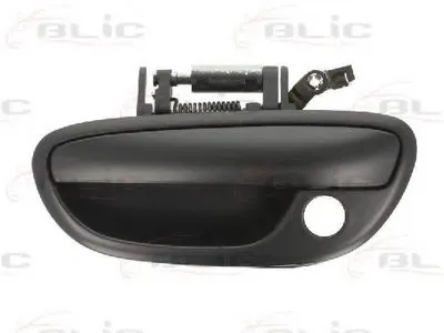 Ручка двери BLIC купить