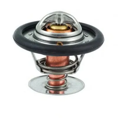 Термостат, охлаждающая жидкость FISPA купить