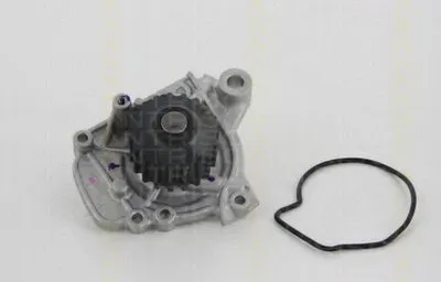 Водяной насос TRISCAN купить