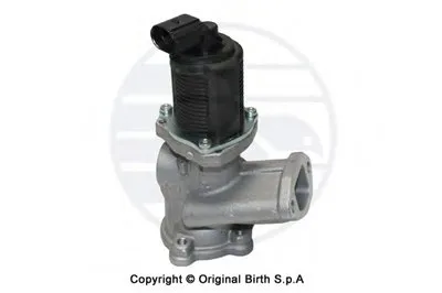Клапан возврата ОГ BIRTH купить