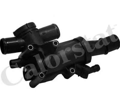 Термостат, охлаждающая жидкость CALORSTAT by Vernet купить