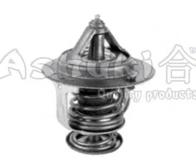 Термостат, охлаждающая жидкость ASHUKI купить