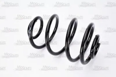 винтовая пружина Magnum Technology купить