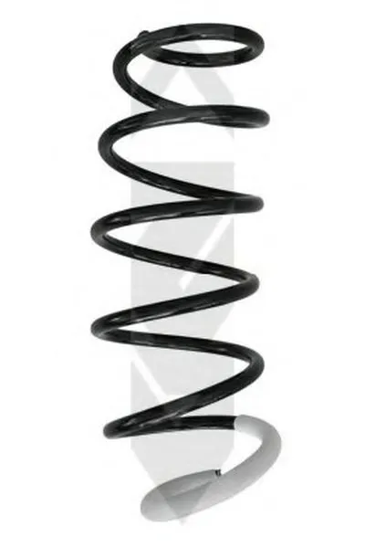 винтовая пружина SPIDAN купить