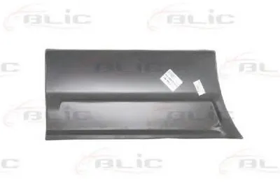 Дверь, кузов BLIC купить