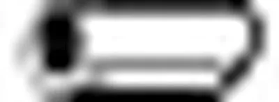 Насадка выпускной трубы WALKER купить