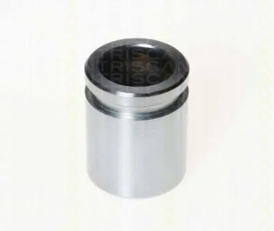 Поршень, корпус скобы тормоза TRISCAN купить