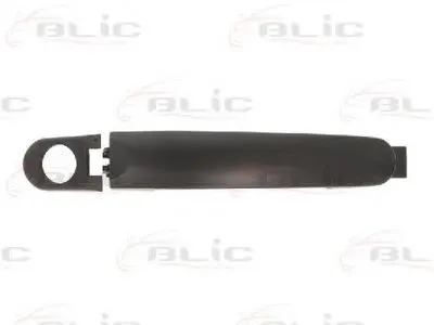 Ручка двери BLIC купить