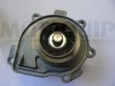 Водяной насос MOTAQUIP купить