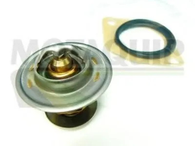 Термостат, охлаждающая жидкость MOTAQUIP купить