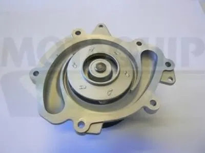 Водяной насос MOTAQUIP купить