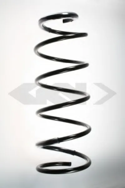 винтовая пружина SPIDAN купить