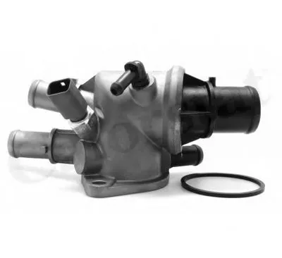 Термостат, охлаждающая жидкость CALORSTAT by Vernet купить