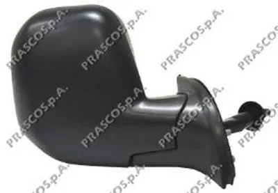 Наружное зеркало PRASCO купить