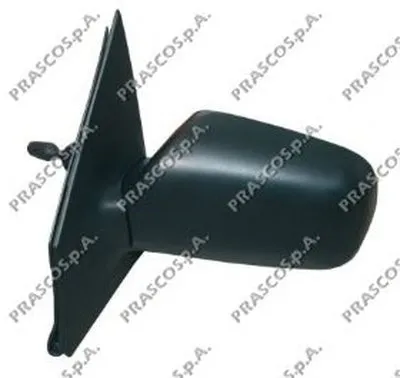 Наружное зеркало PRASCO купить