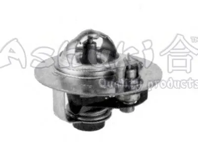 Термостат, охлаждающая жидкость ASHUKI купить