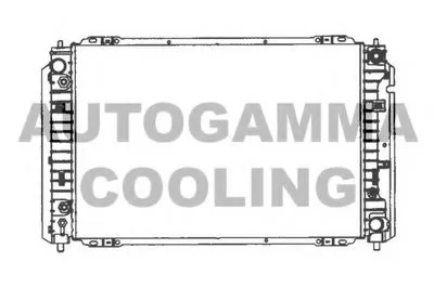 Радиатор, охлаждение двигателя AUTOGAMMA купить