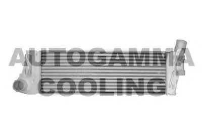 Интеркулер AUTOGAMMA купить