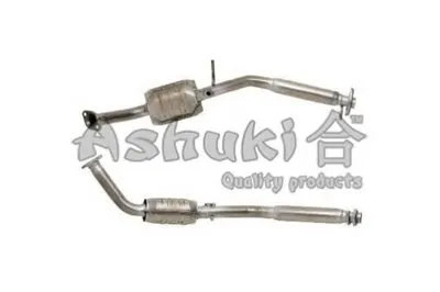 Катализатор для переоборудования ASHUKI купить