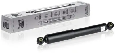 Амортизатор TRIALLI купить