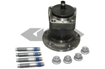 Комплект подшипника ступицы колеса SPIDAN купить