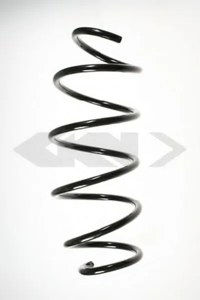 винтовая пружина SPIDAN купить