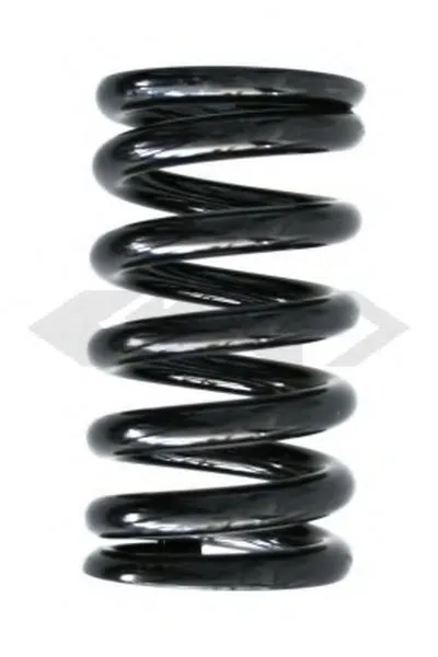 винтовая пружина SPIDAN купить