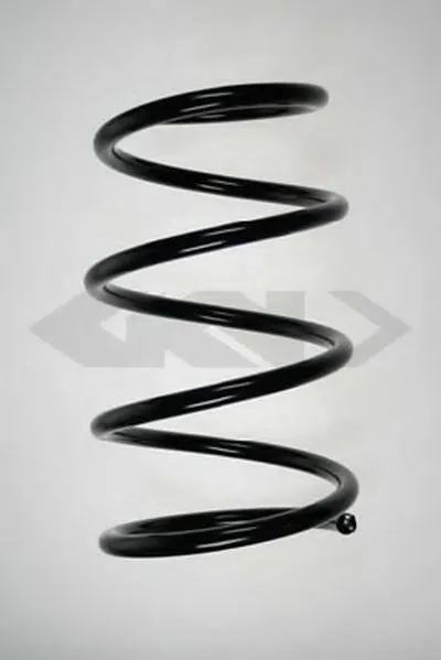 винтовая пружина SPIDAN купить