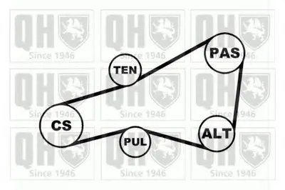 Поликлиновой ременный комплект QUINTON HAZELL купить