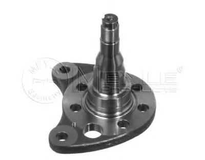 Поворотный кулак, подвеска колеса MEYLE купить