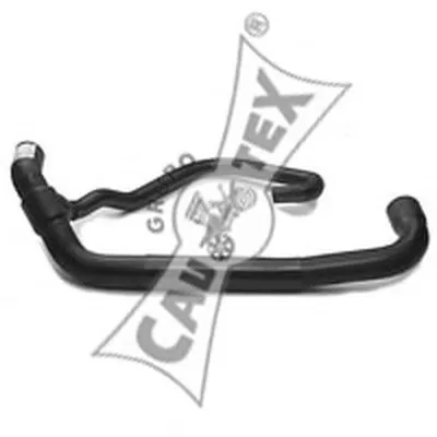 Шланг радиатора CAUTEX купить