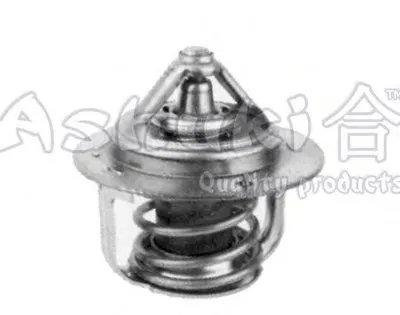 Термостат, охлаждающая жидкость ASHUKI купить