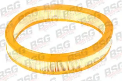 Воздушный фильтр BSG купить