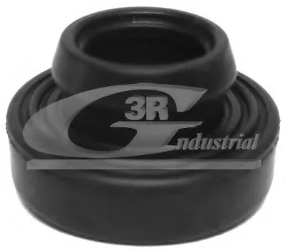 Прокладка, болт крышка головки цилиндра 3RG купить