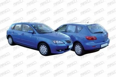 Ручка двери PRASCO купить